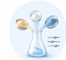 Tailored Formulations